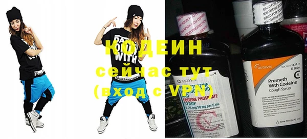 mix Инта