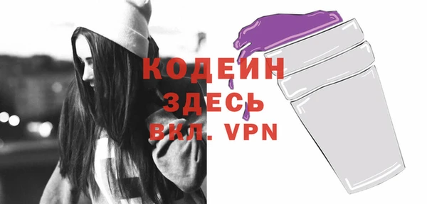 mix Инта