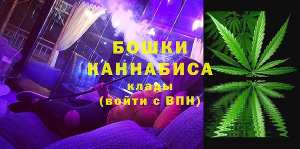 PSILOCYBIN Иннополис