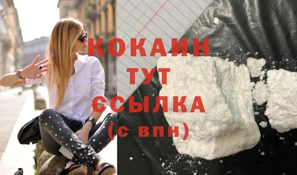 mix Инта