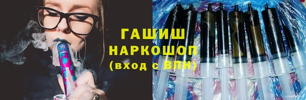 mix Инта